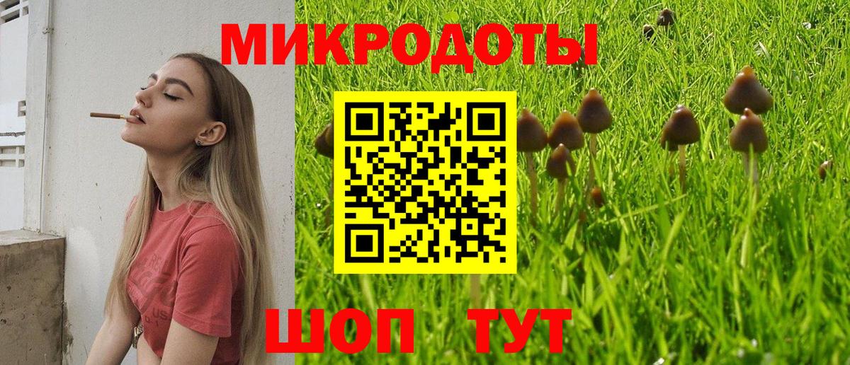 Псилоцибиновые грибы прущие грибы  Галлюциногенные грибы Psilocybine cubensis  Боровичи  Вход с VPN 