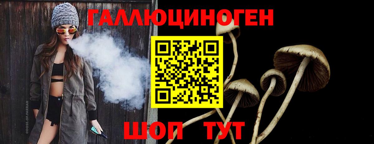 Галлюциногенные грибы Psilocybe Боровичи